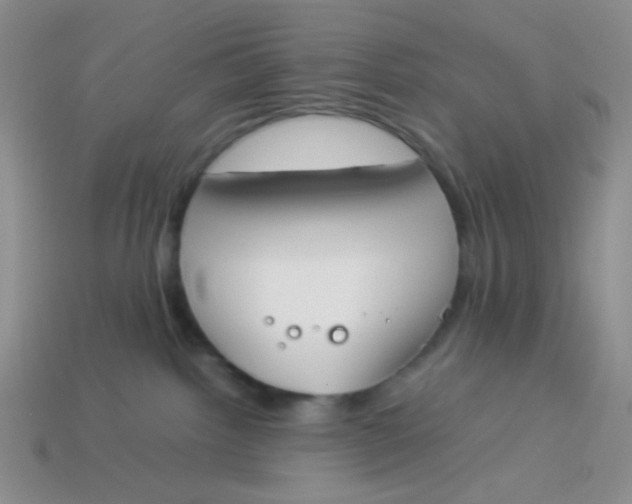 X0000113890092200910151343