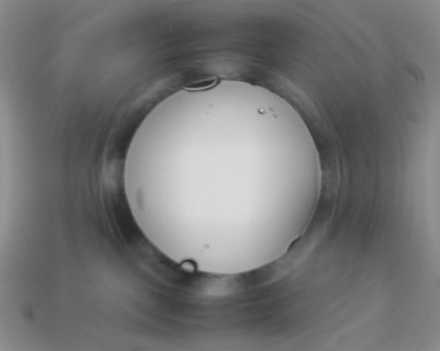 X0000113890093200910151343