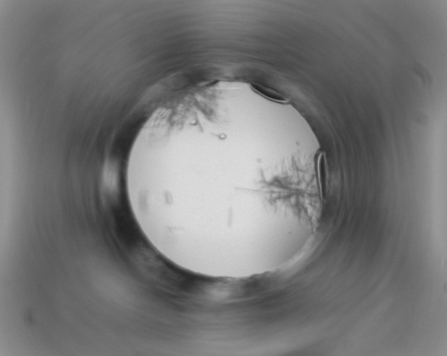 X0000113890094200910151343