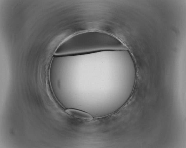 X0000113890097200910151343