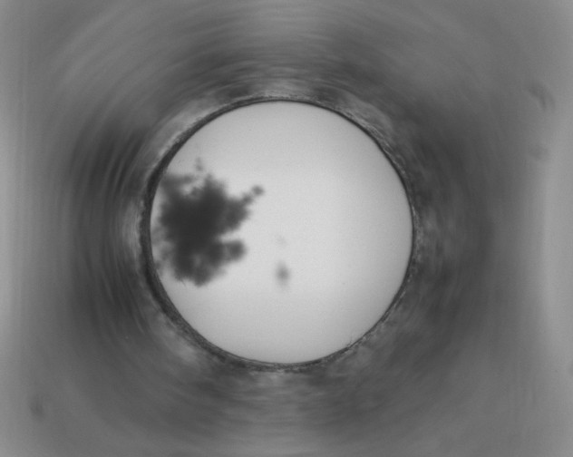 X0000113890098200910151343