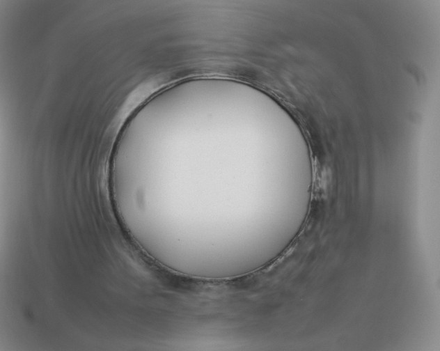 X0000113890099200910151343
