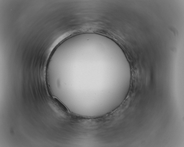 X0000113890100200910151343