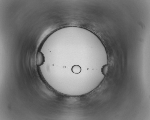 X0000113890102200910151343