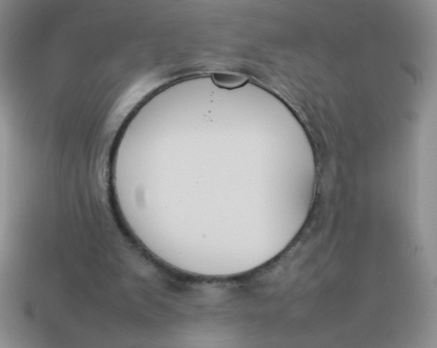 X0000113890103200910151343