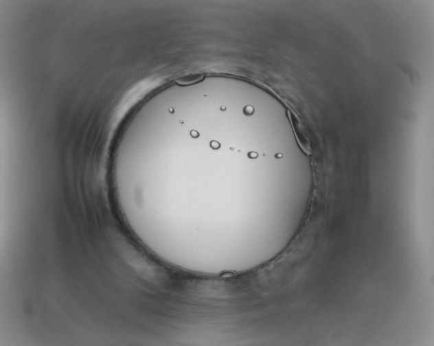 X0000113890104200910151343