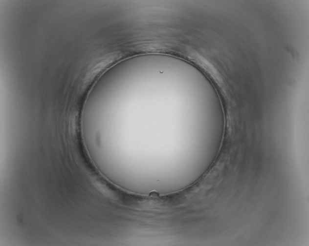 X0000113890105200910151343