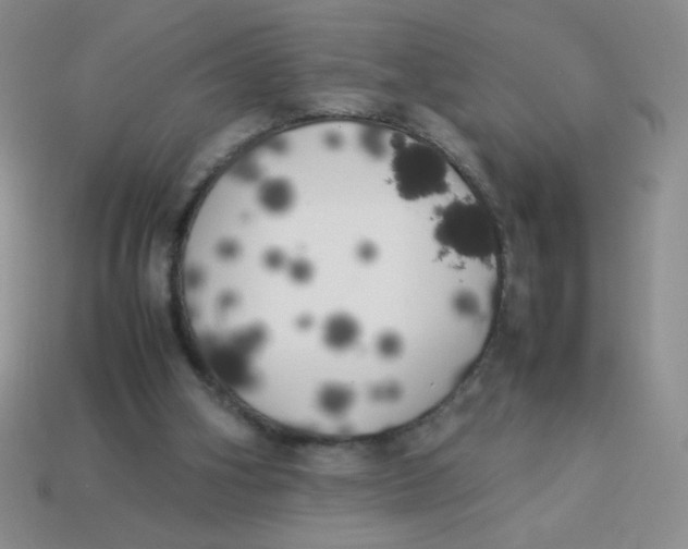 X0000113890106200910151343