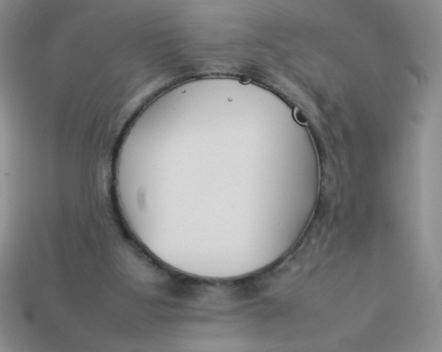 X0000113890107200910151343