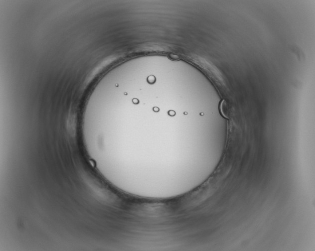 X0000113890108200910151343