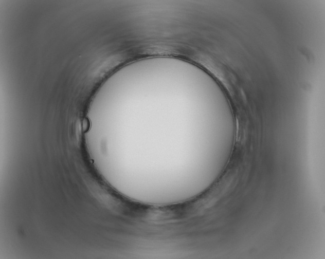 X0000113890109200910151343