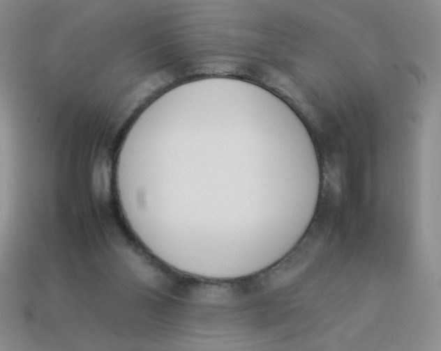 X0000113890110200910151343