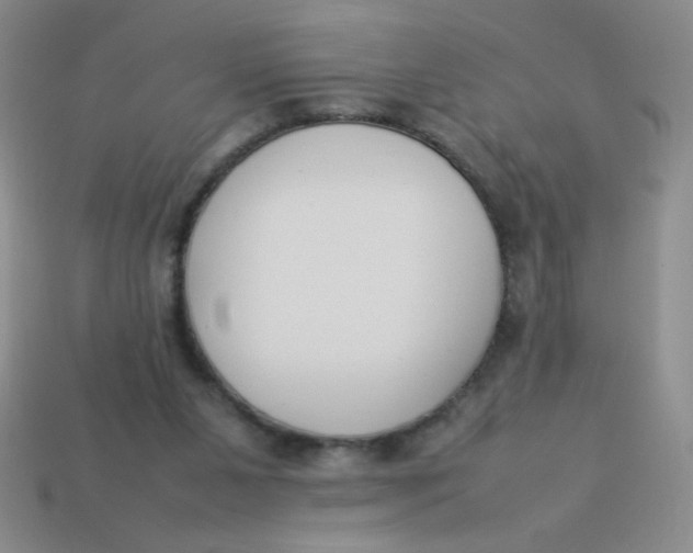 X0000113890111200910151343