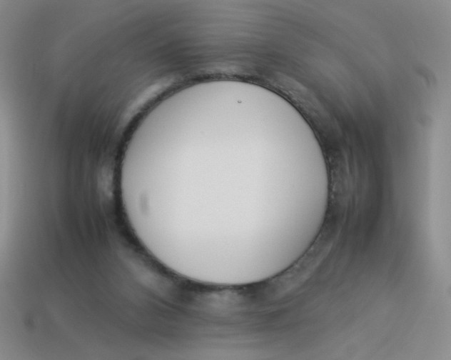 X0000113890112200910151343