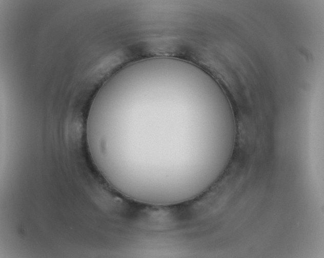X0000113890113200910151343