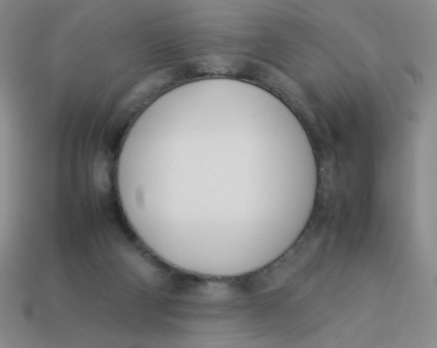 X0000113890114200910151342