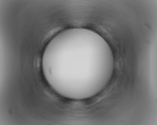 X0000113890115200910151342