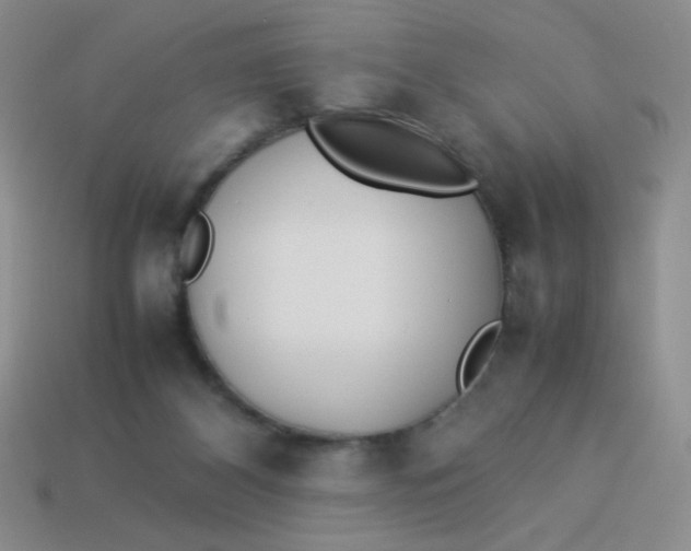 X0000113890116200910151342