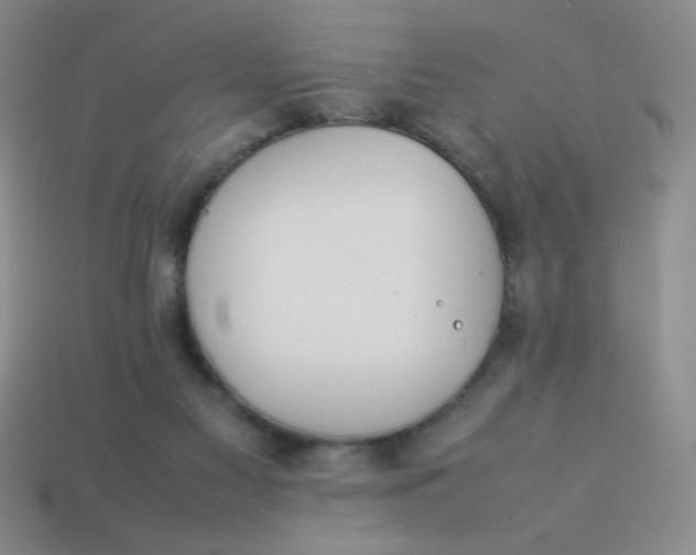 X0000113890117200910151342