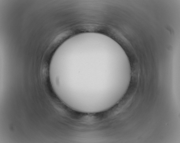 X0000113890119200910151342