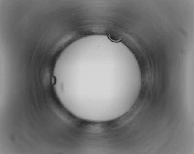 X0000113890120200910151342