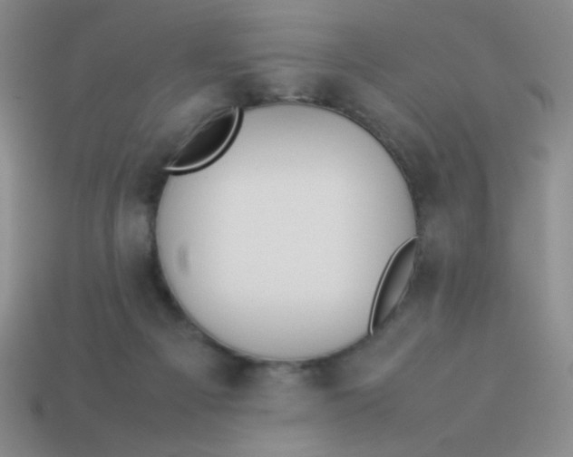X0000113890121200910151342