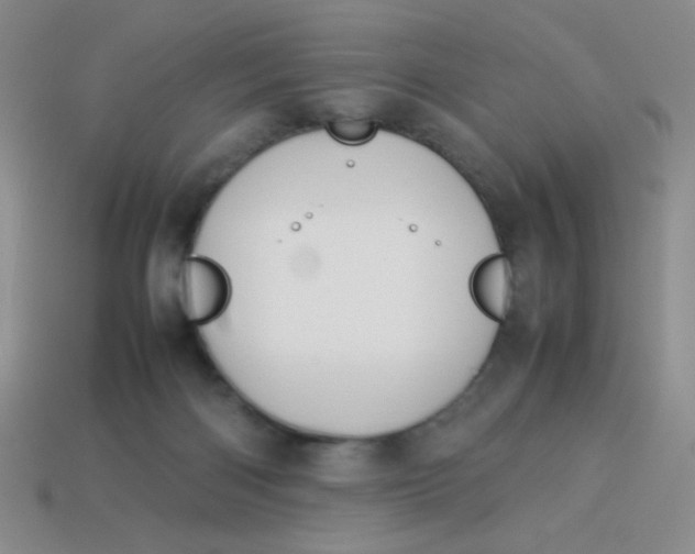 X0000113890122200910151342