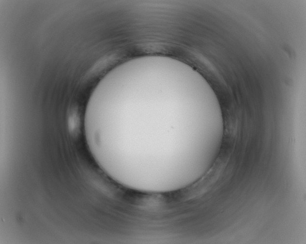 X0000113890124200910151342