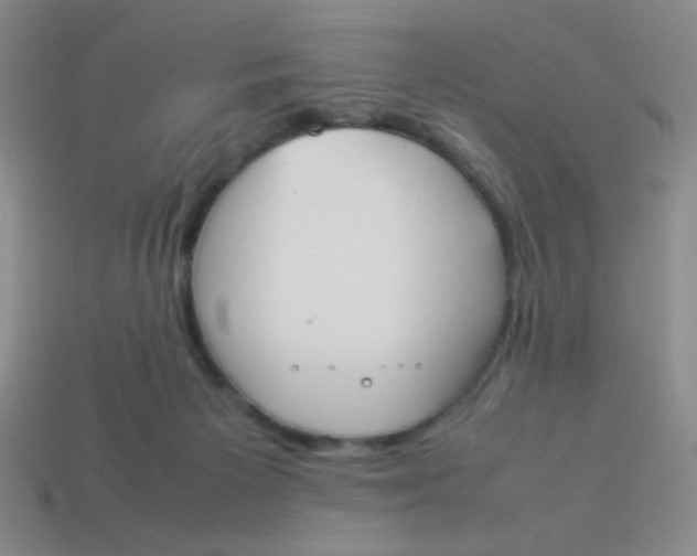 X0000113890125200910151342