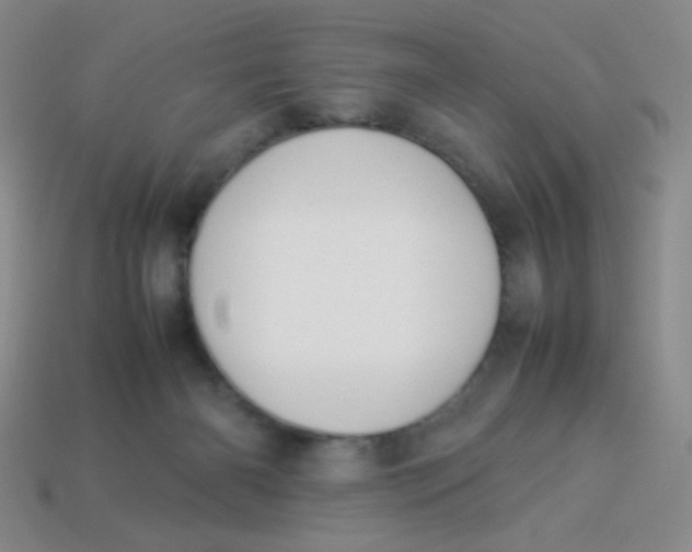 X0000113890126200910151342