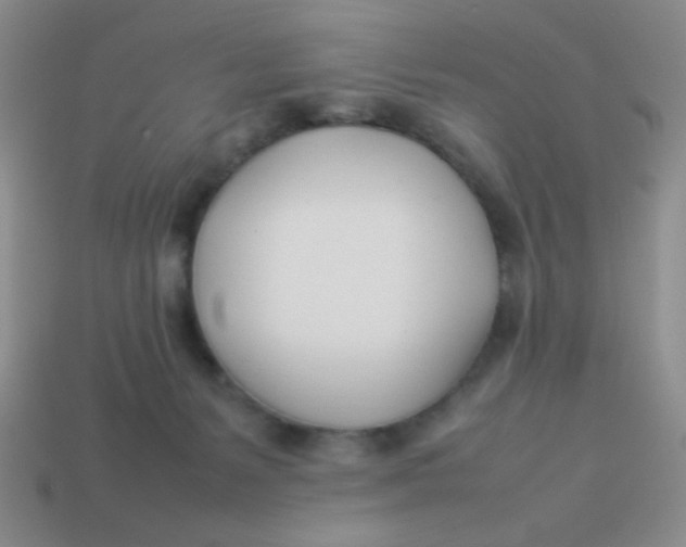 X0000113890127200910151342