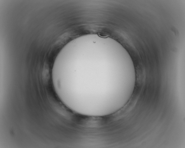 X0000113890128200910151342