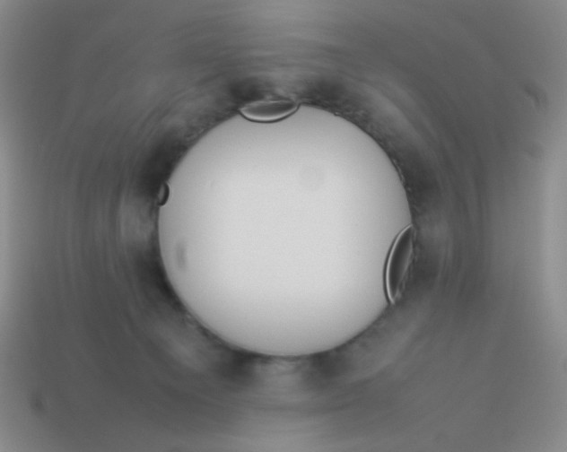 X0000113890129200910151342