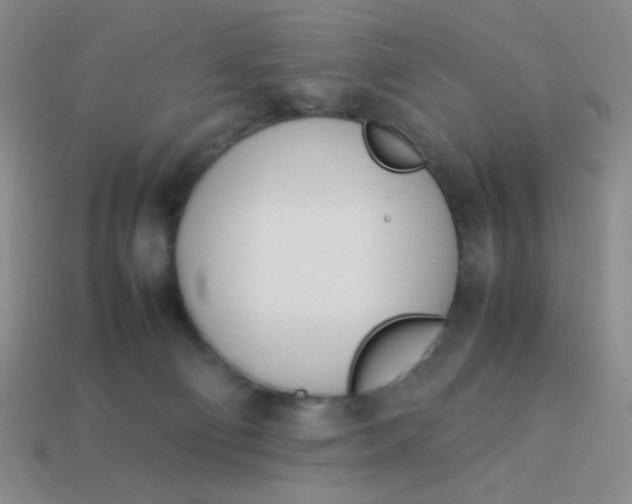 X0000113890130200910151342
