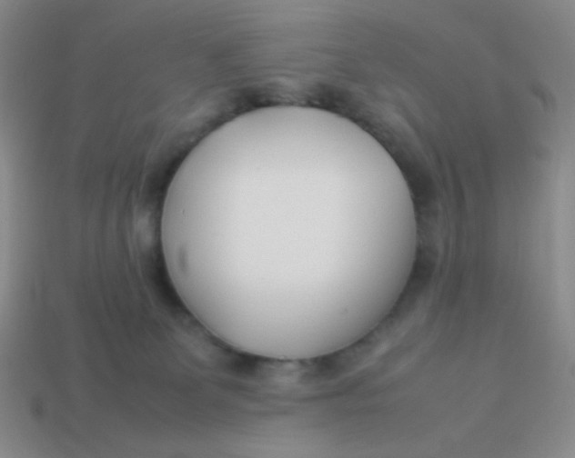 X0000113890131200910151342