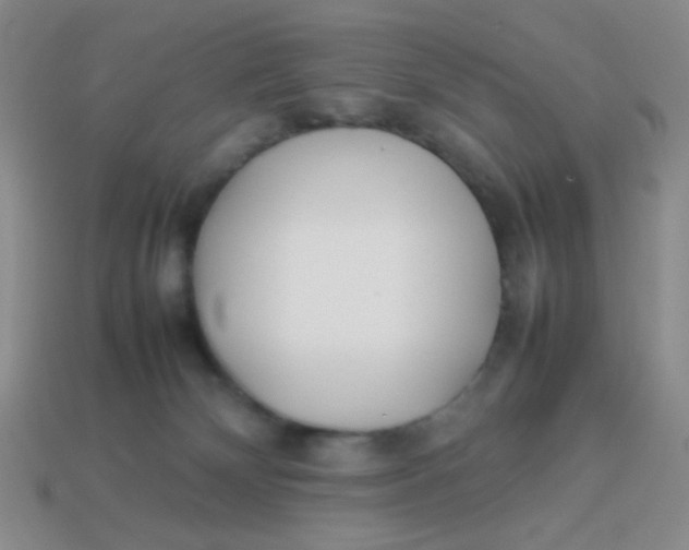 X0000113890132200910151342