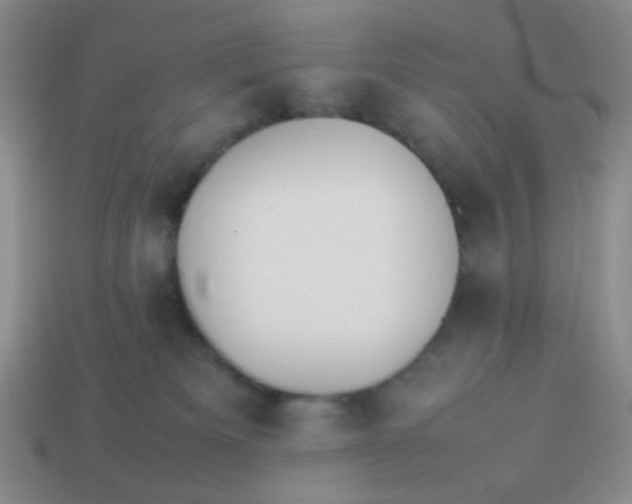 X0000113890133200910151342