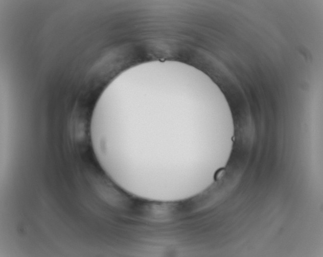 X0000113890134200910151342