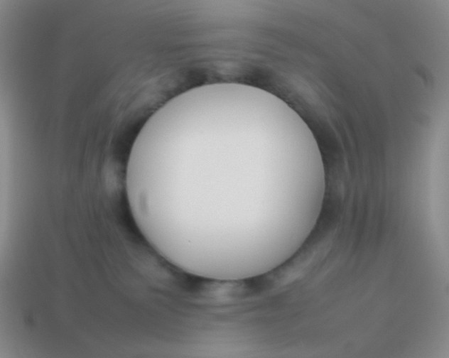 X0000113890135200910151342