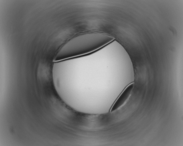 X0000113890136200910151342