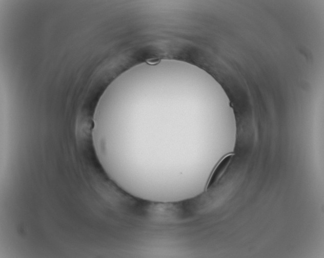 X0000113890137200910151342