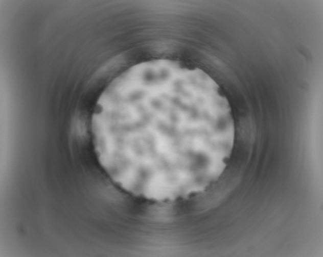 X0000113890138200910151342