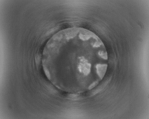 X0000113890139200910151342