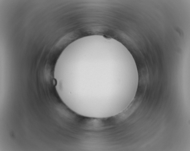 X0000113890140200910151342