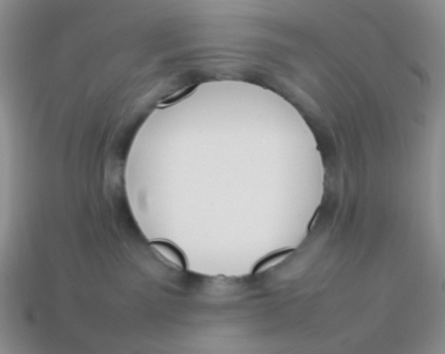 X0000113890141200910151342