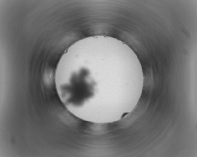 X0000113890142200910151342