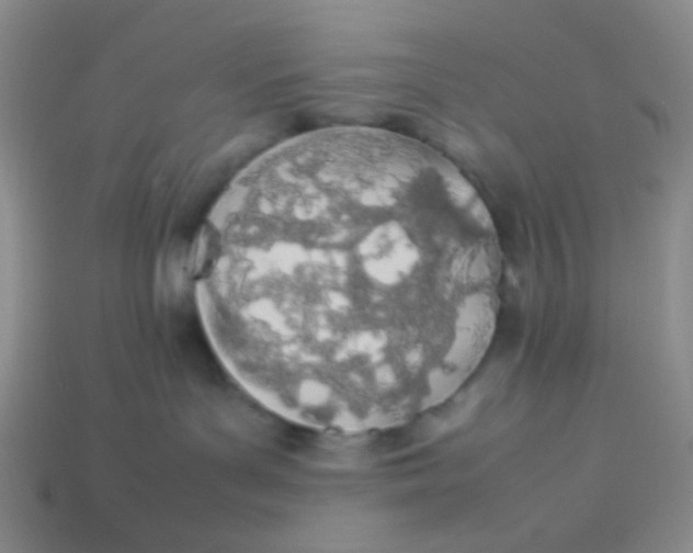 X0000113890143200910151342