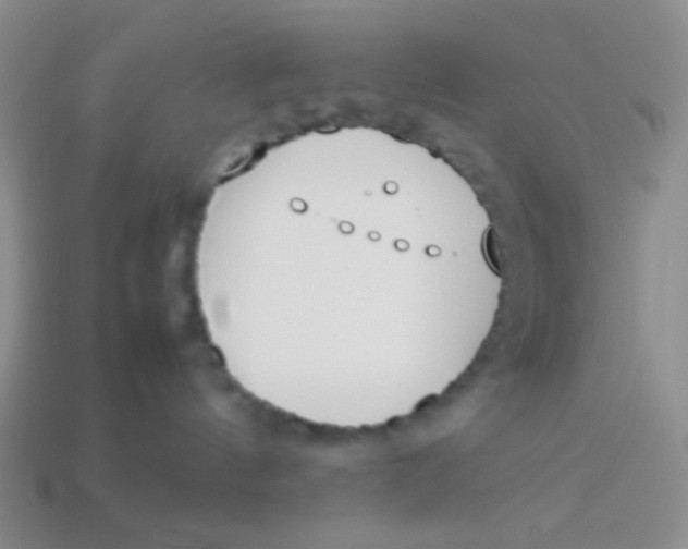 X0000113890144200910151342
