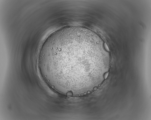 X0000113890145200910151341