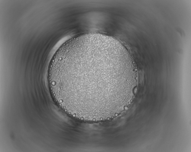X0000113890147200910151342